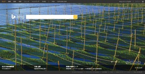 Bing0206