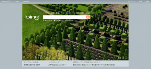 Bing0308