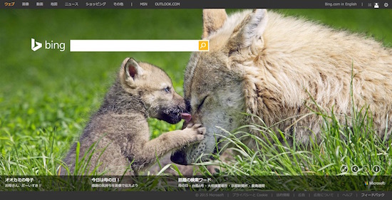 オオカミの母子 がかわいい Bing 15 5 4 15 5 17 背景画像まとめ
